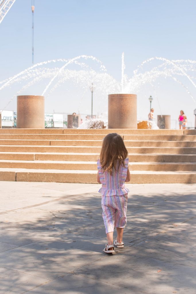 Charleston SC Fountain